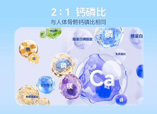 2:1 钙磷比